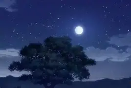 亚博体育app官网-cba通报总决赛后掌掴打人事件