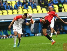 亚博体育app官网-风云突变成都蓉城赛后伤情更新，意甲版图或变，态度坚定，阵容厚度经受考验